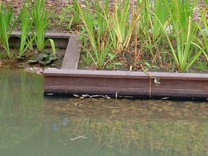 池縁取り